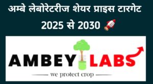 Ambey Laboratories Share Price Target 2024